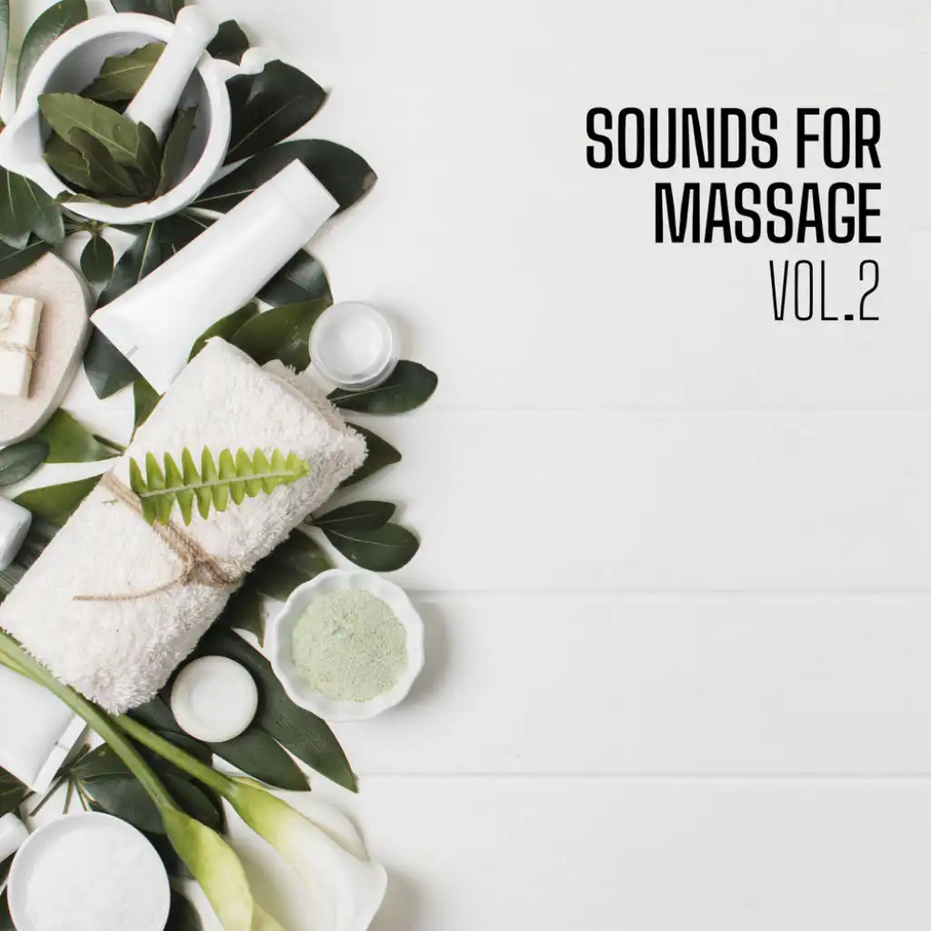 Sounds For Massage Vol.2