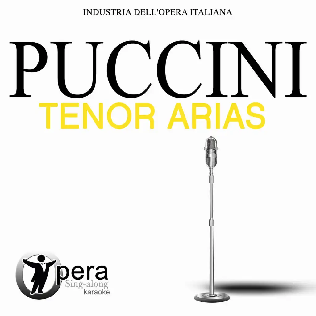 Turandot: Nessun dorma (Karaoke Version)