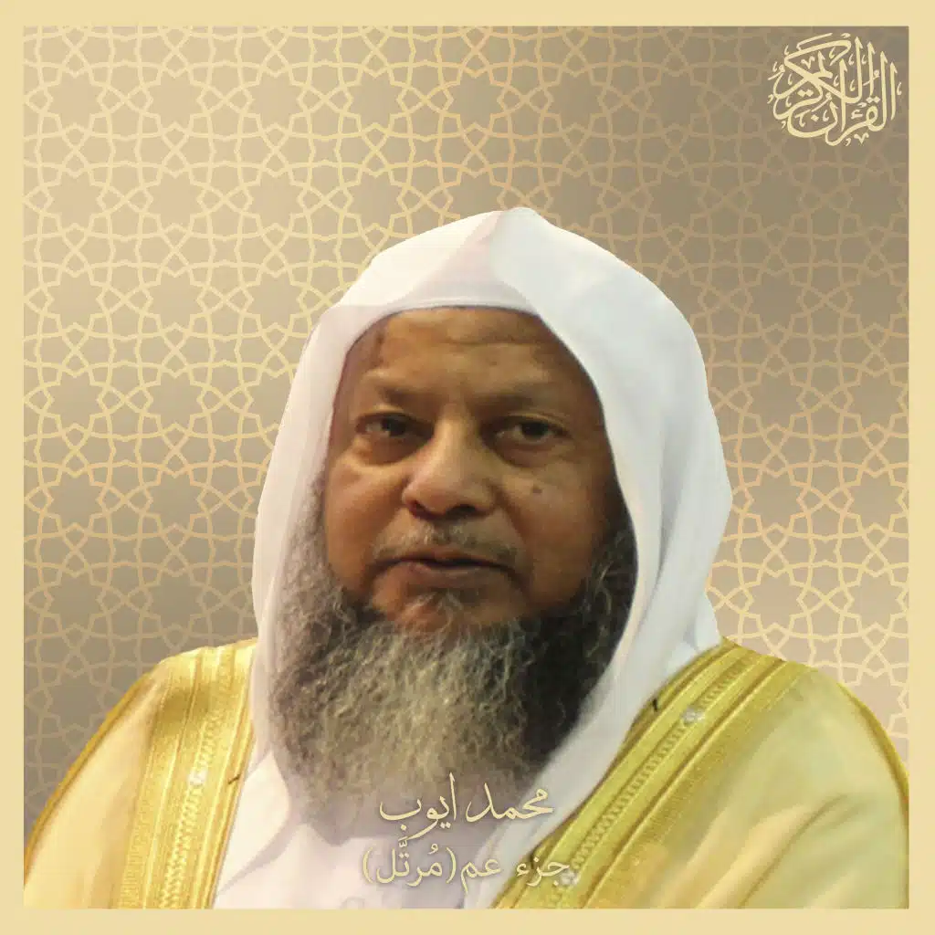 العلق