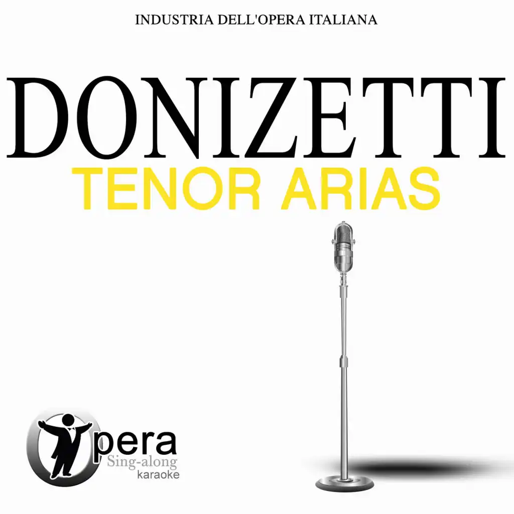 Don Pasquale: Povero Ernesto!… Cercherò lontana terra (Karaoke Version)