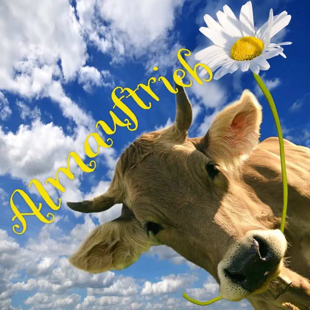 Sag' mir wo die Blumen sind (Where Have All the Flowers Gone)