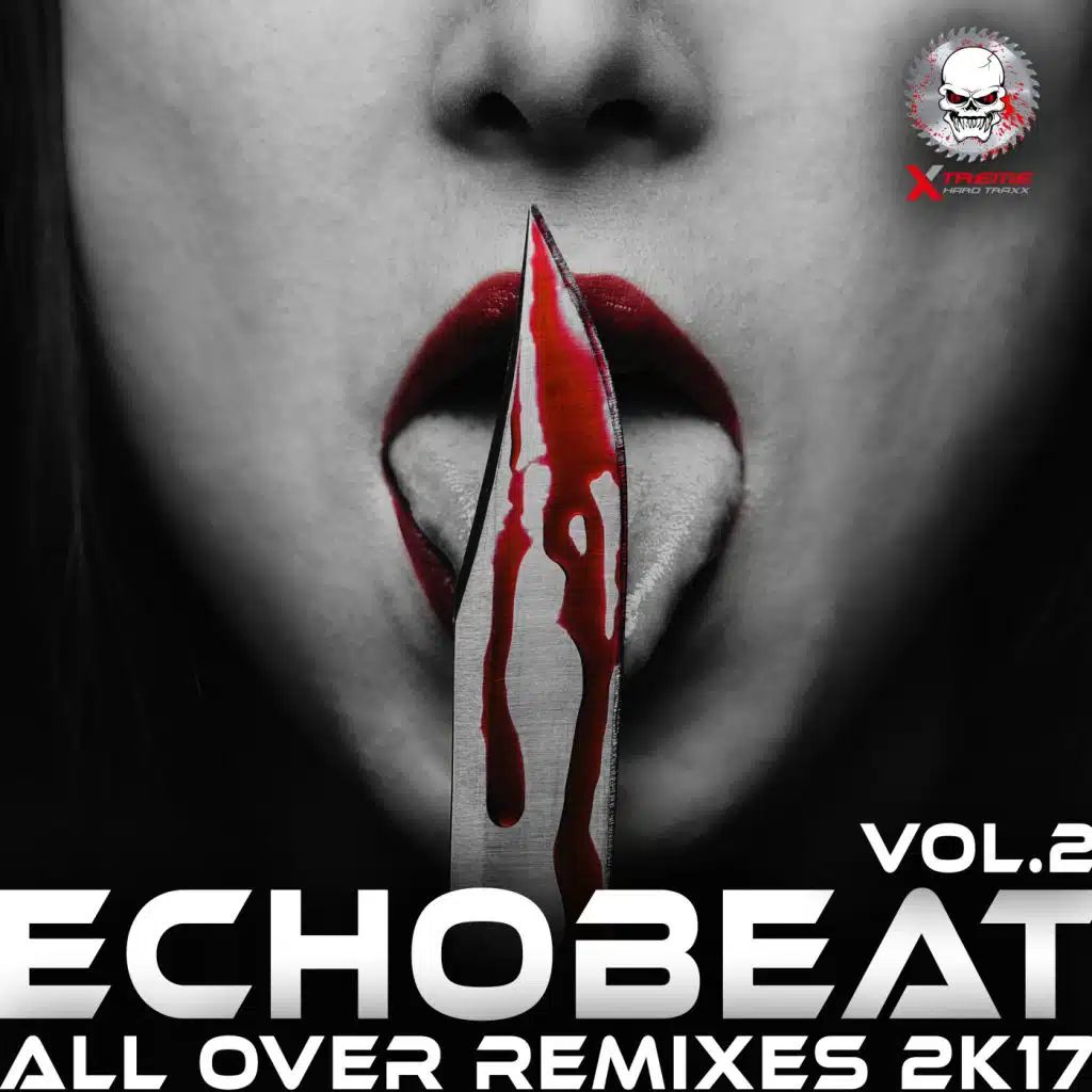 All Over Remixes 2k17, Vol. 2