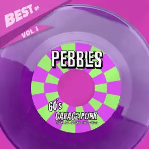 Best Of Pebbles Series, Vol. 1 - 60´s Garage Punk Unknows