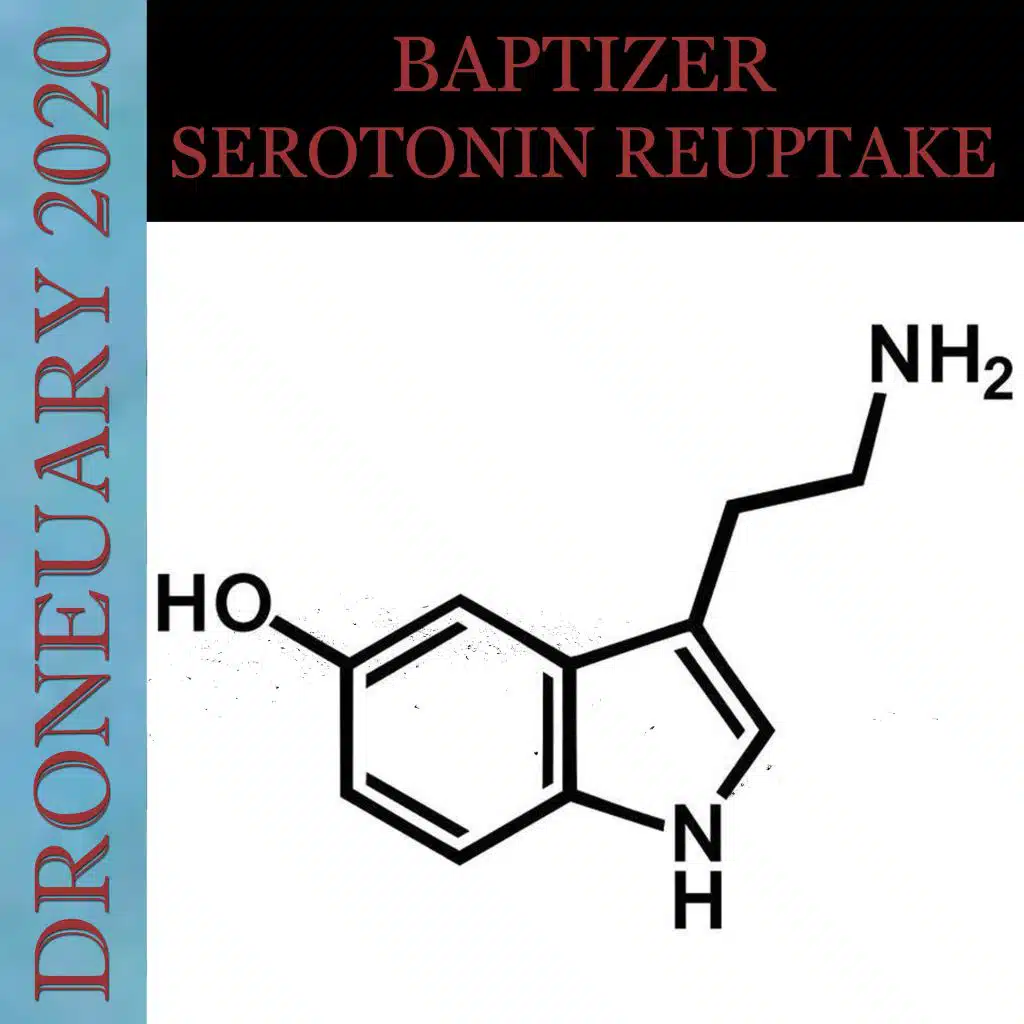Serotonin Reuptake