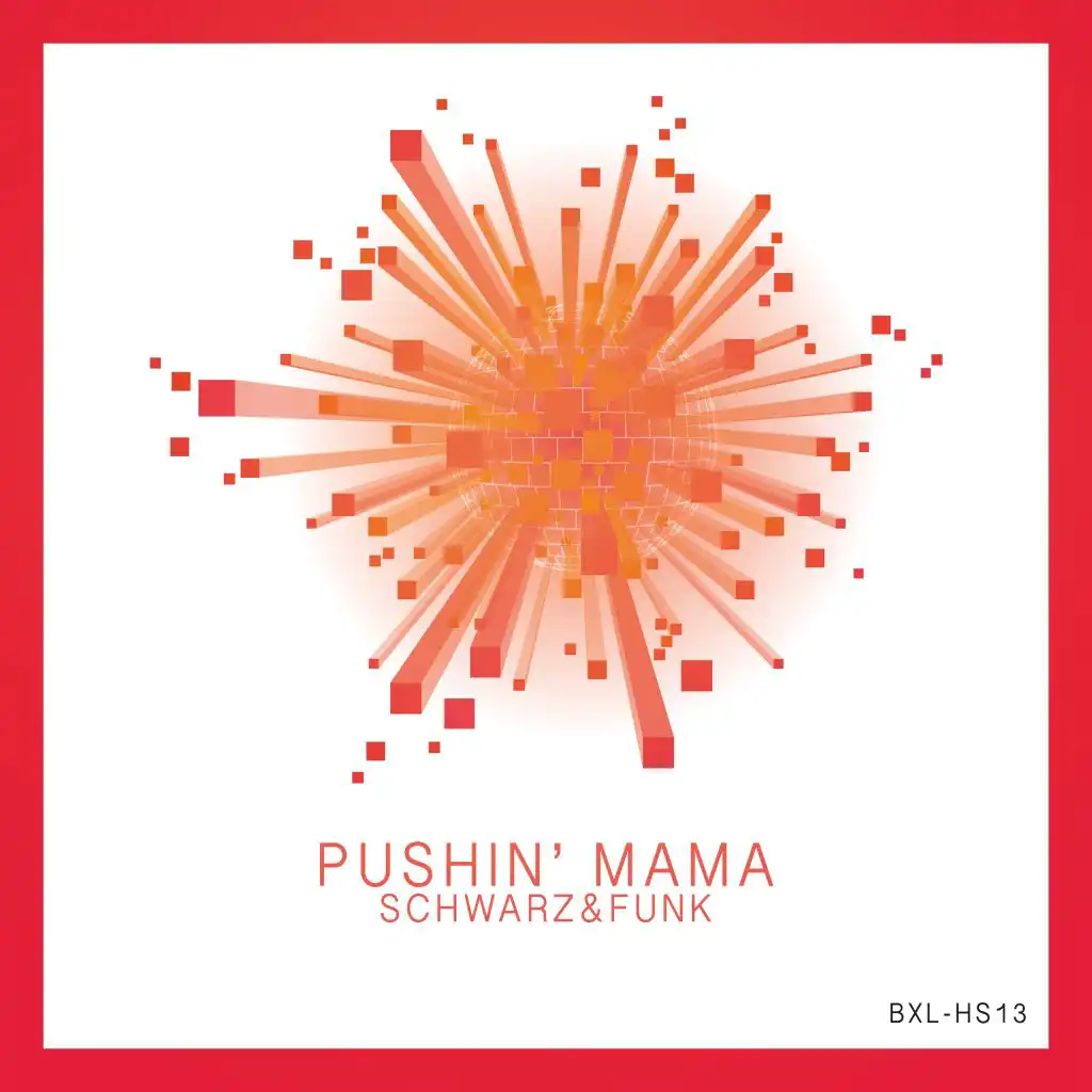 Pushin' Mama (Long Train Running) (Radio Cut)