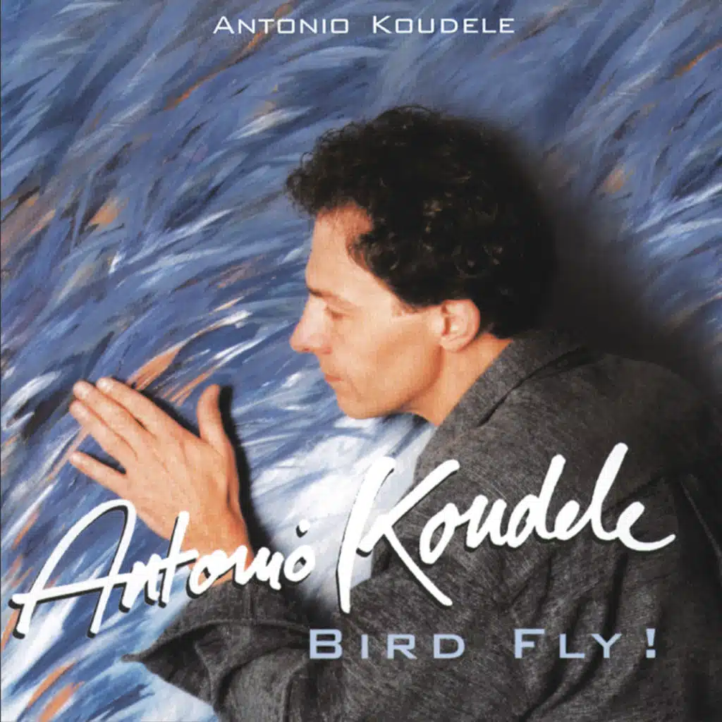 Bird Fly