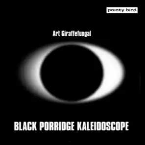 Black Porridge Kaleidoscope