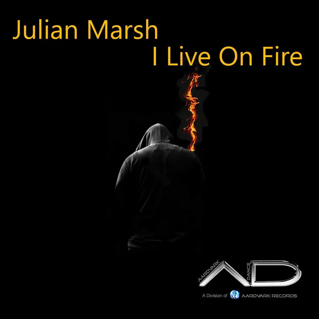 I Live on Fire (Radio Remix)