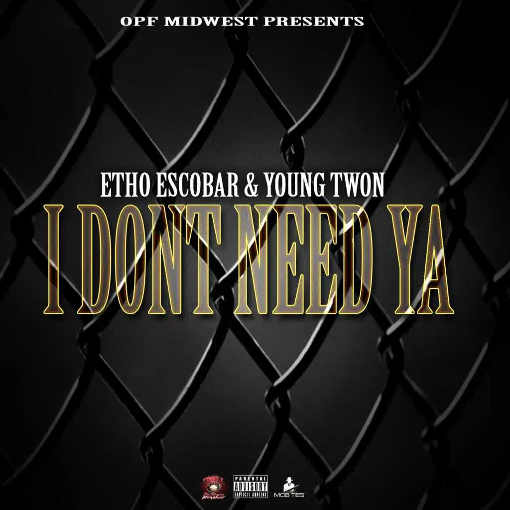 I Dont Need Ya (feat. Young Twon)