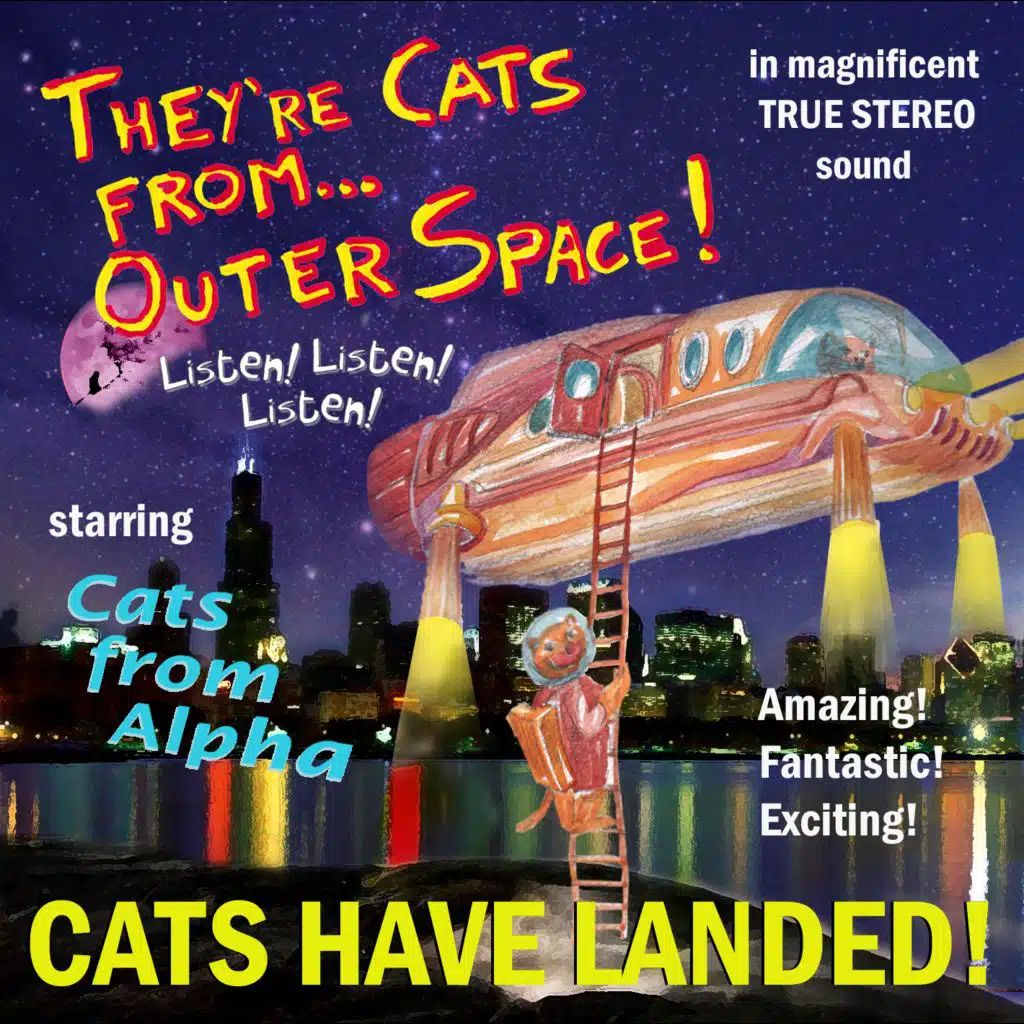 Cats Have Landed!