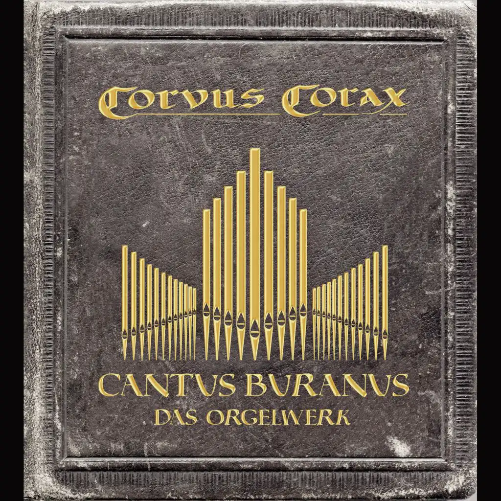 Cantus Buranus - Das Orgelwerk