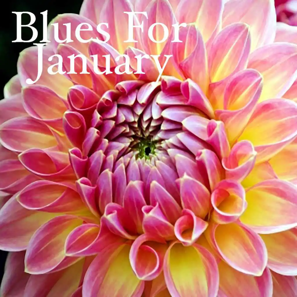 Blues For January