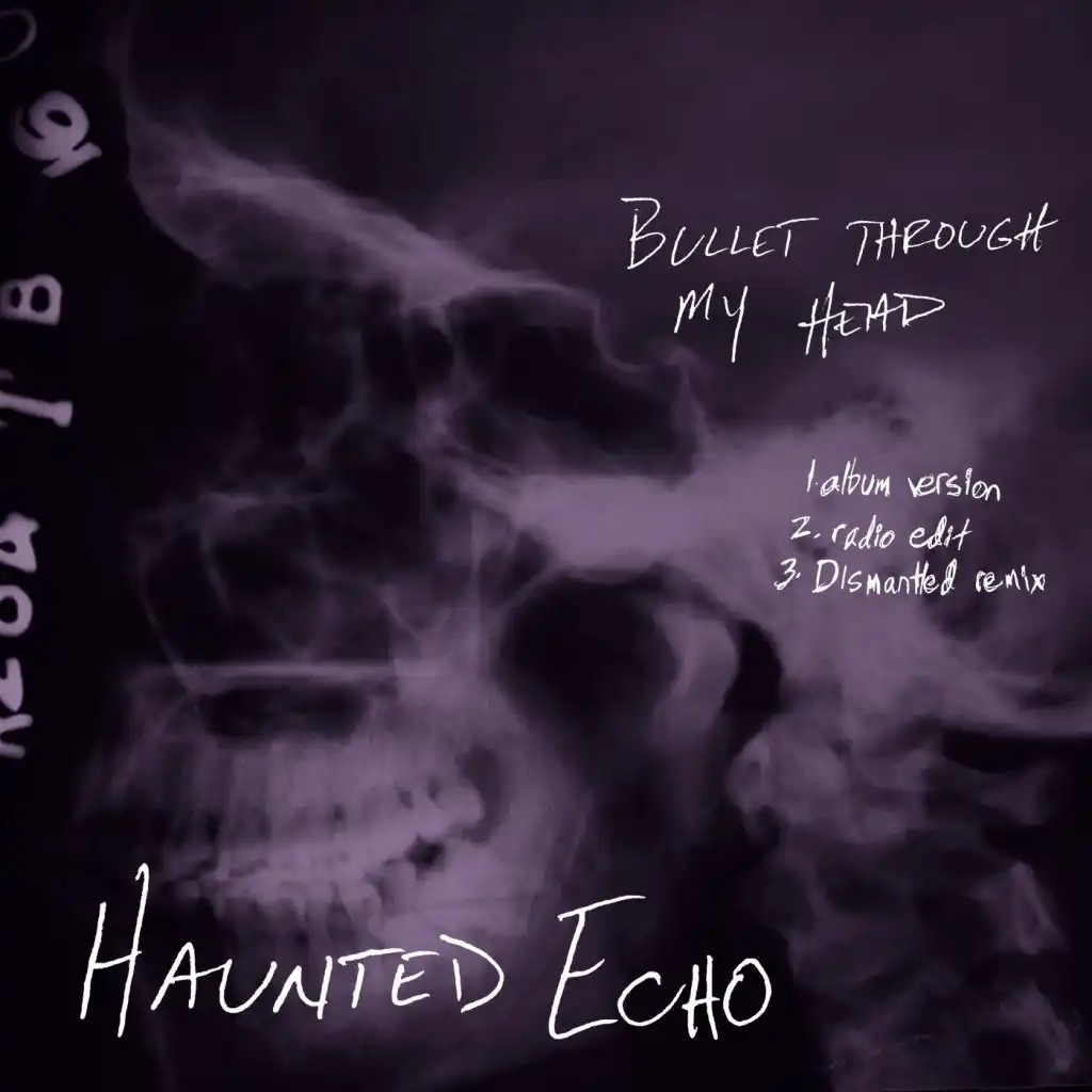 Haunted Echo With Elaine Kristin