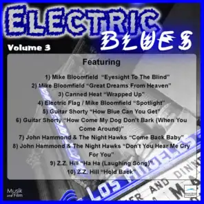 Electric Blues, Vol. 3