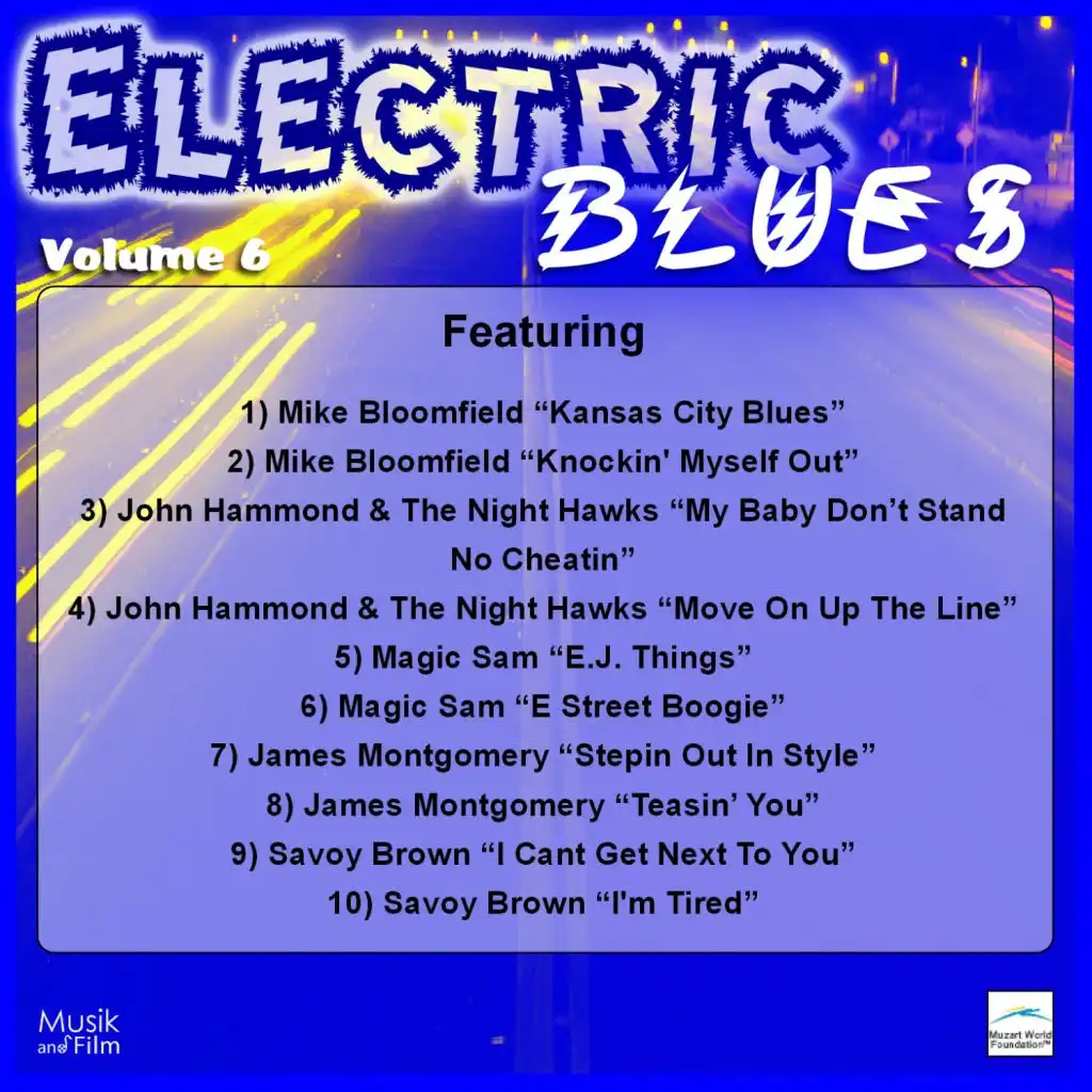 Electric Blues, Vol. 6