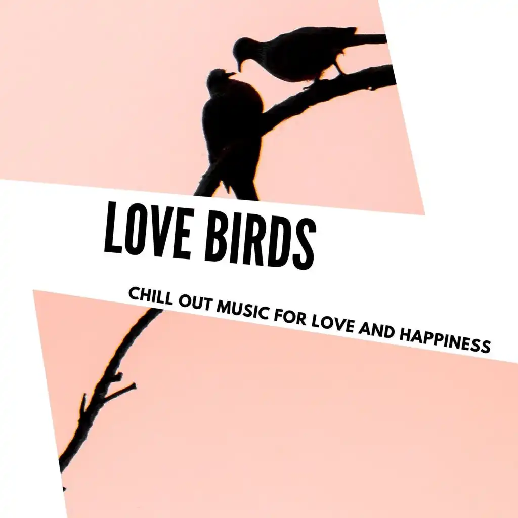 Love Birds - Chill Out Music For Love And Happiness