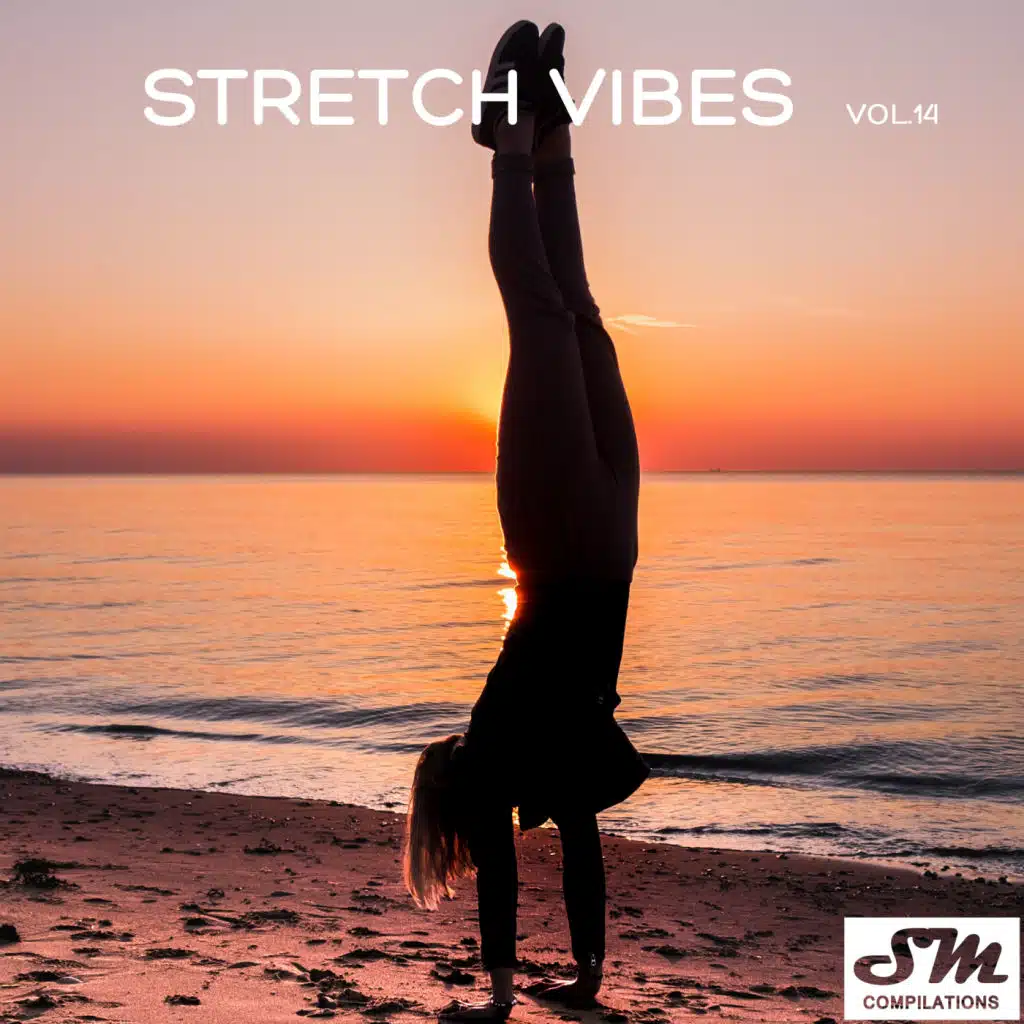 Stretch Vibes, Vol. 14