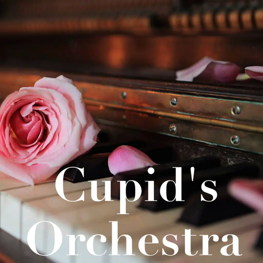 Cupid's Orchestra