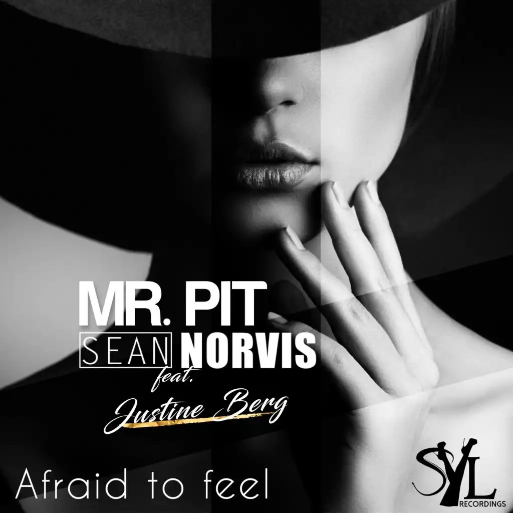 Afraid To Feel (Dub Mix) [feat. Justine Berg]