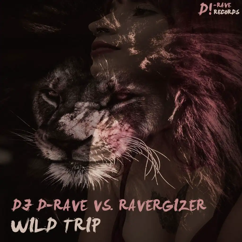 DJ D-Rave & Ravergizer