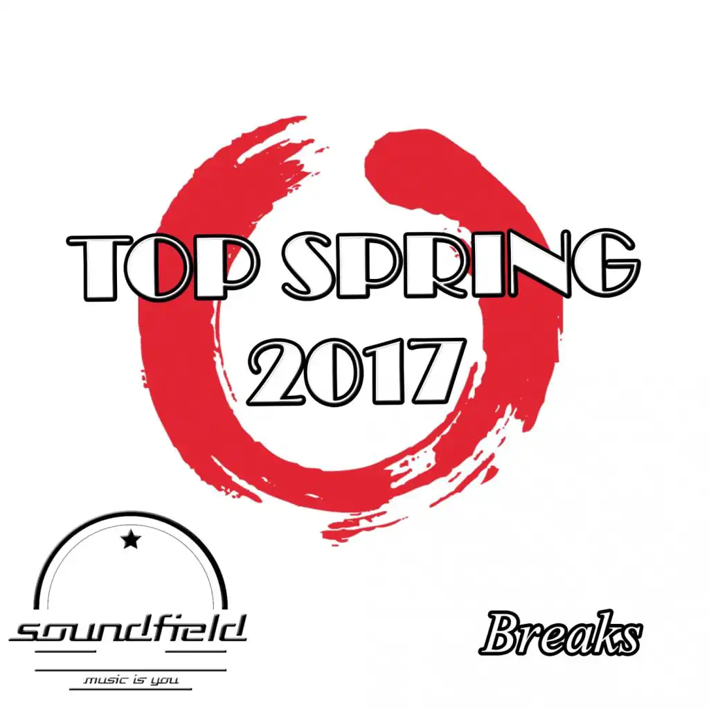 Breaks Top Spring 2017