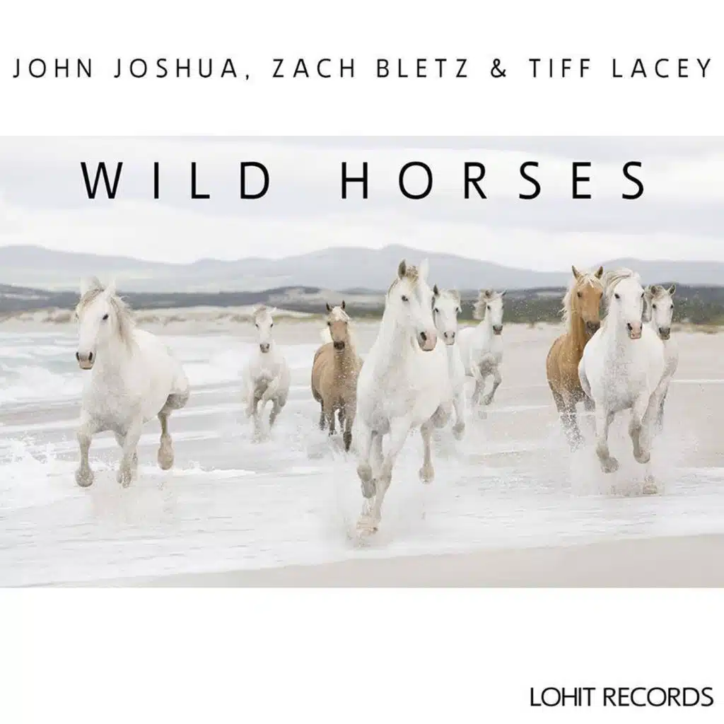 Wild Horses