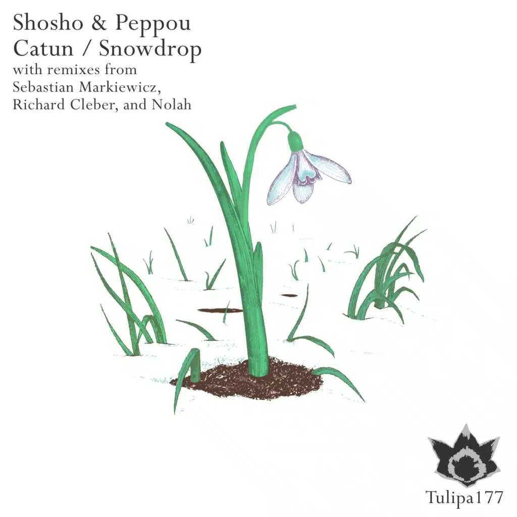 Catun / Snowdrop