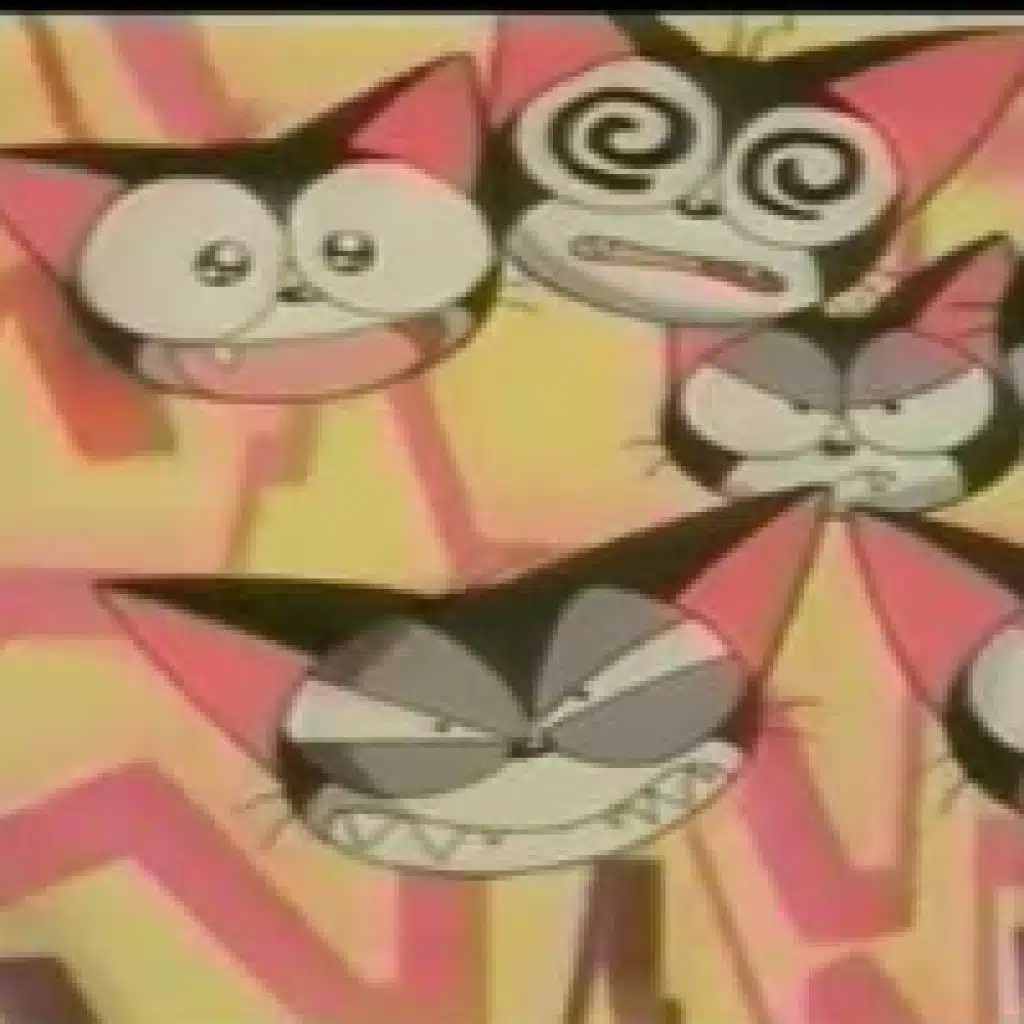 القط الأسود