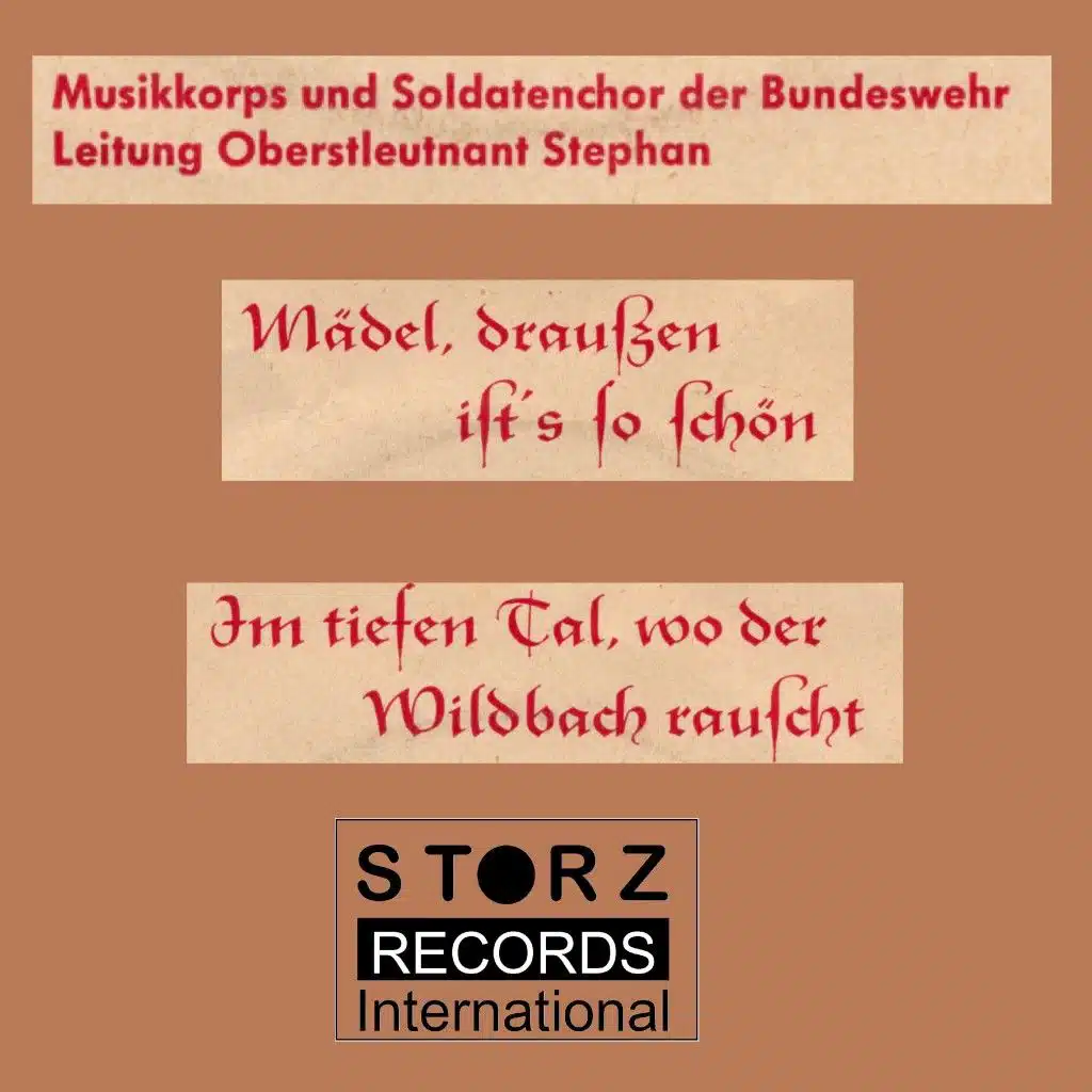 Im tiefen Tal, wo der Wildbach rauscht