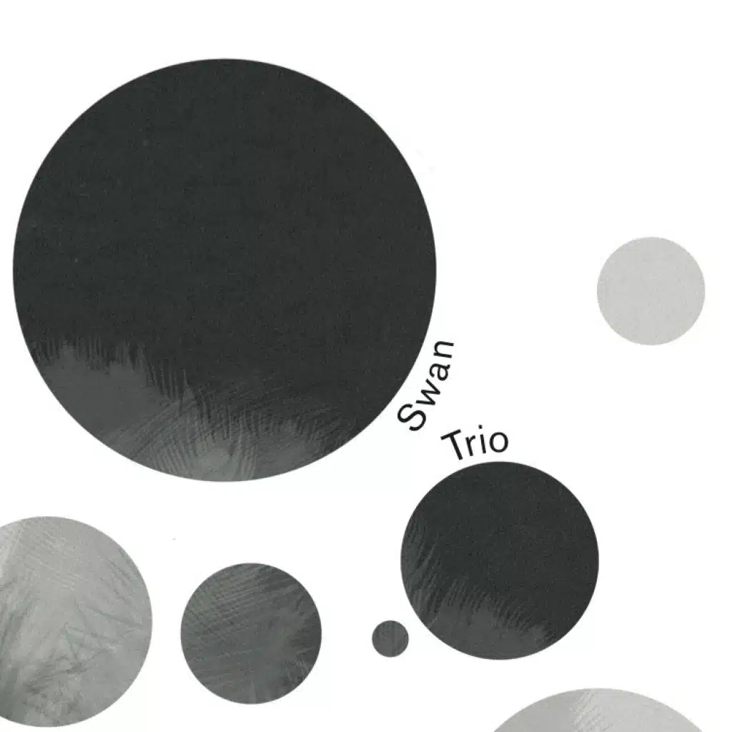 Swan Trio (feat. Harald Kündgen & Oliver Potratz)