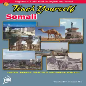 Learn Somali (Teach Yourself Somali,  Beginners Audio Book)
