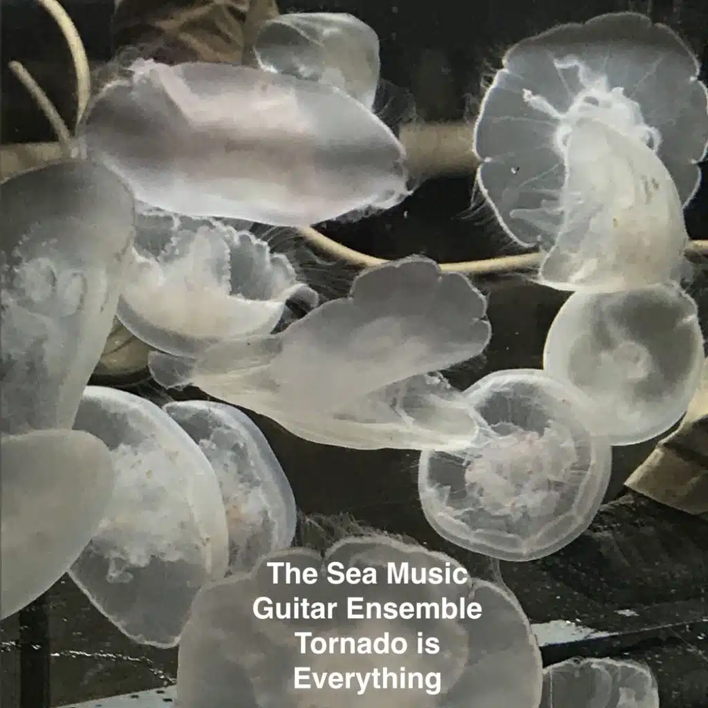 Tornado is Everything