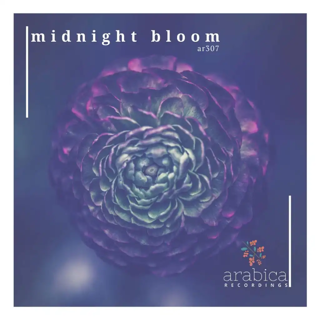 Midnight Bloom