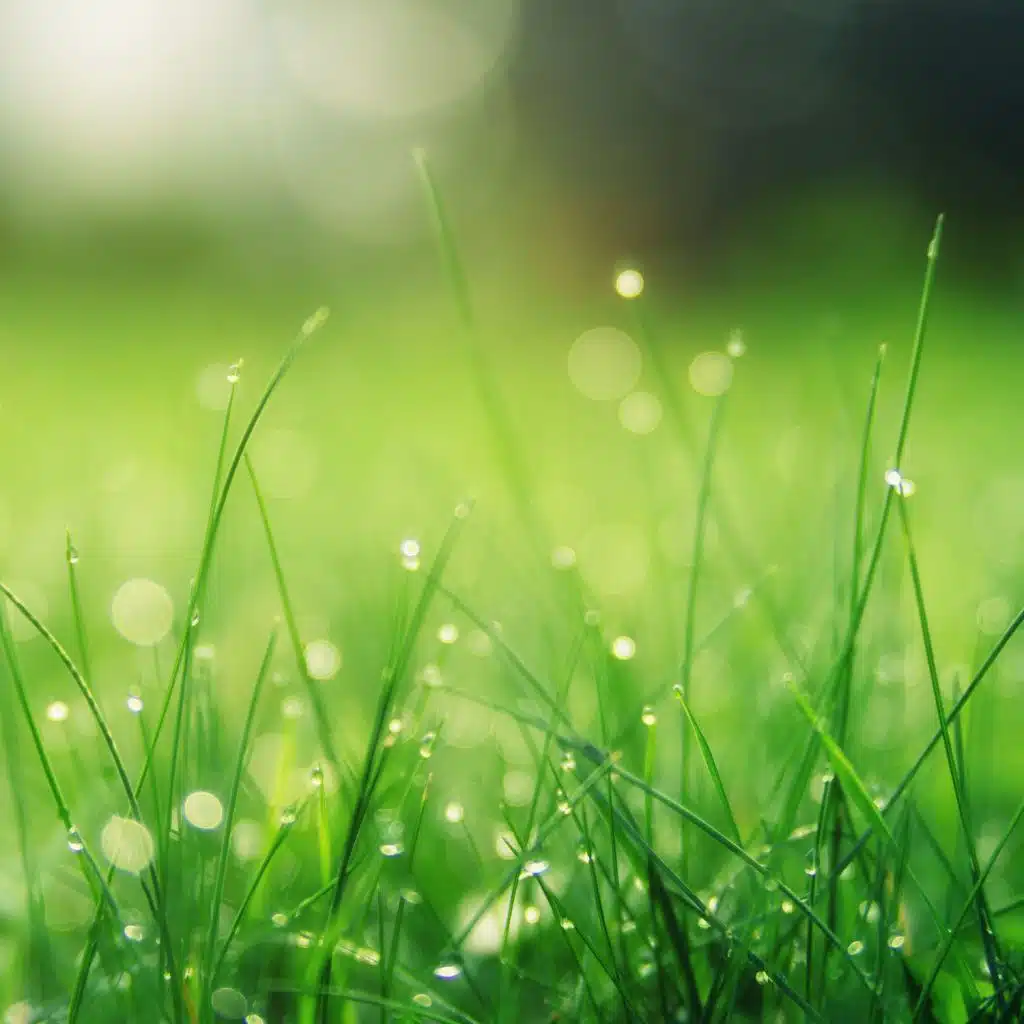 Soothing White Noises for Deep Baby Dreaming