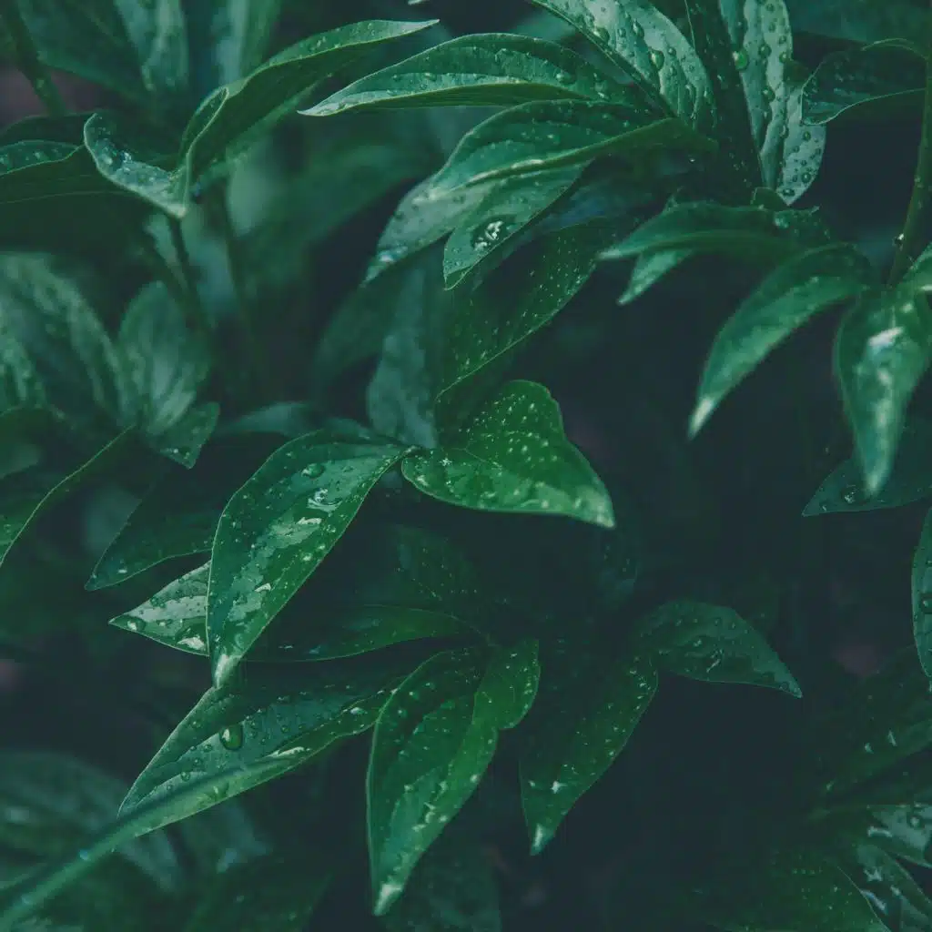 Soothing Noise for Sleep