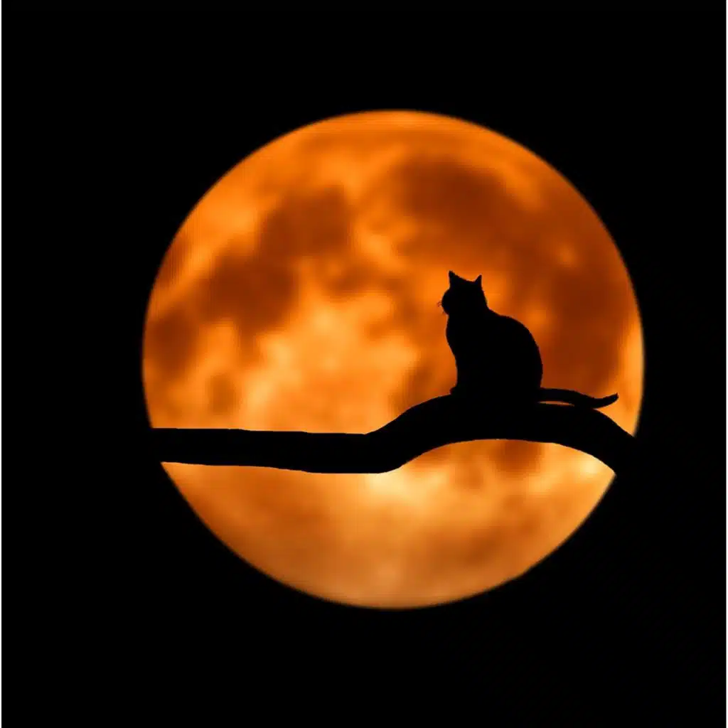 Soothing Candlelight