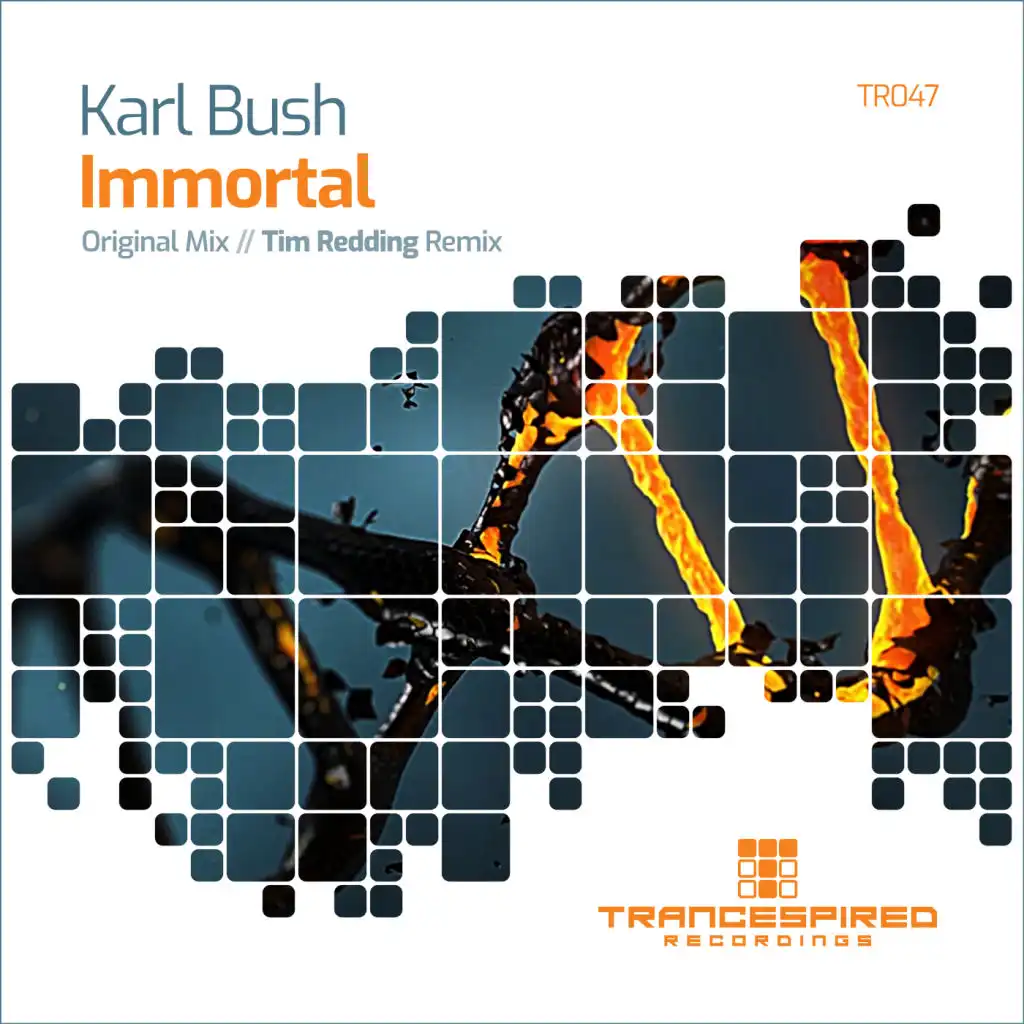 Immortal (Tim Redding Remix)