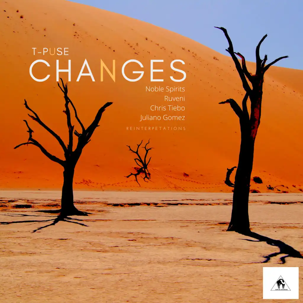 Changes (Chris Tiebo Remix)