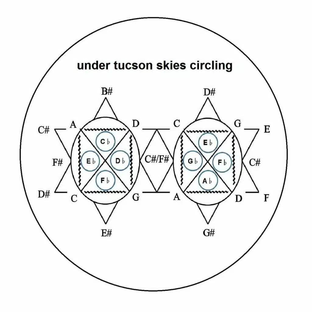 Under Tucson Skies Circling