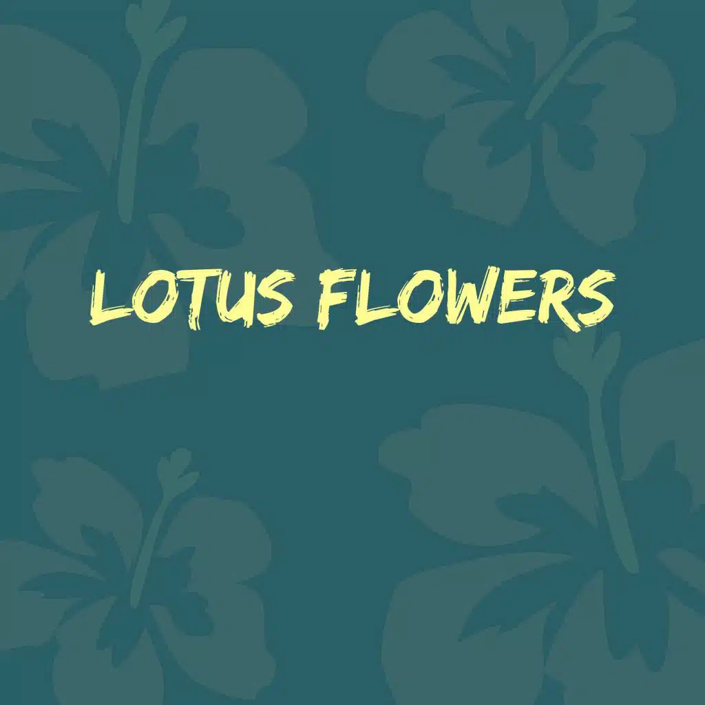 Thunder and Lightning