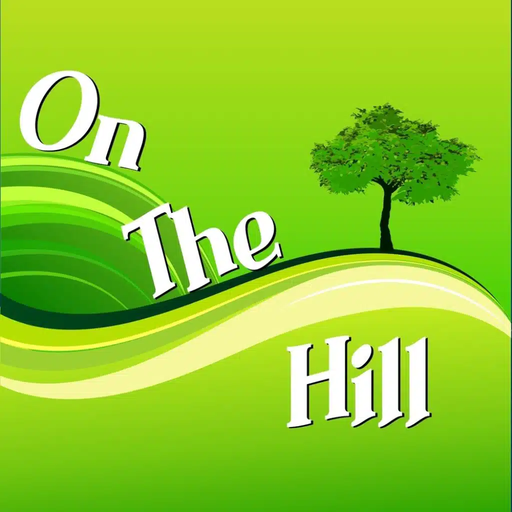 On The Hill (feat. Dj Freccia & Fabrizio Pendesini)