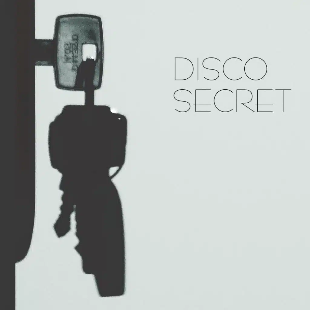 Disco Secret (feat. Dj Freccia & Fabrizio Pendesini)