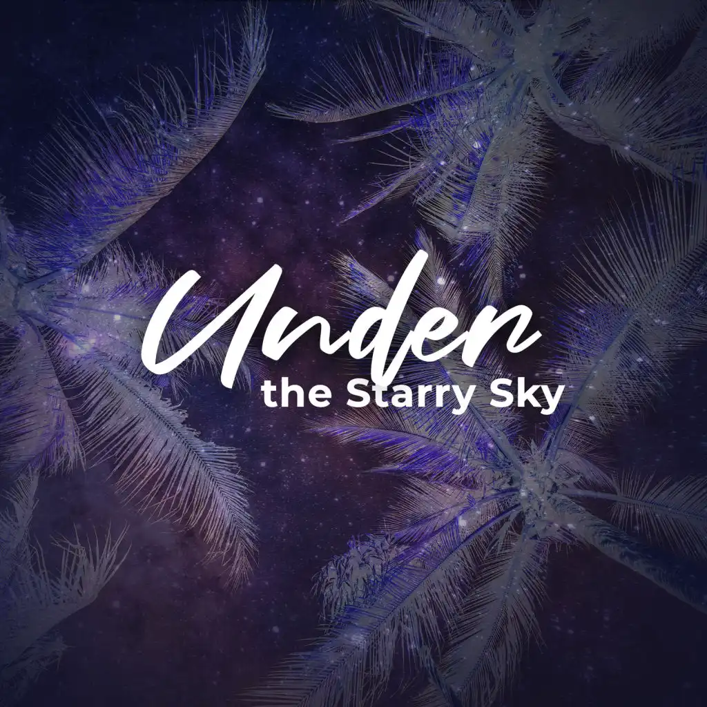Under the Starry Sky