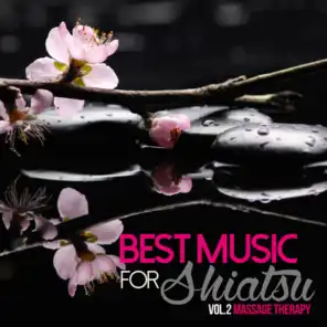 Best Music For Shiatsu Vol. 2: Massage Therapy