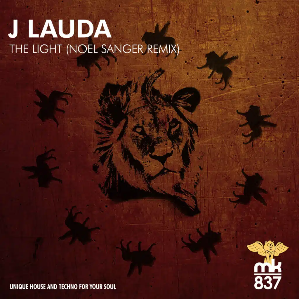 The Light (Noel Sanger Remix)