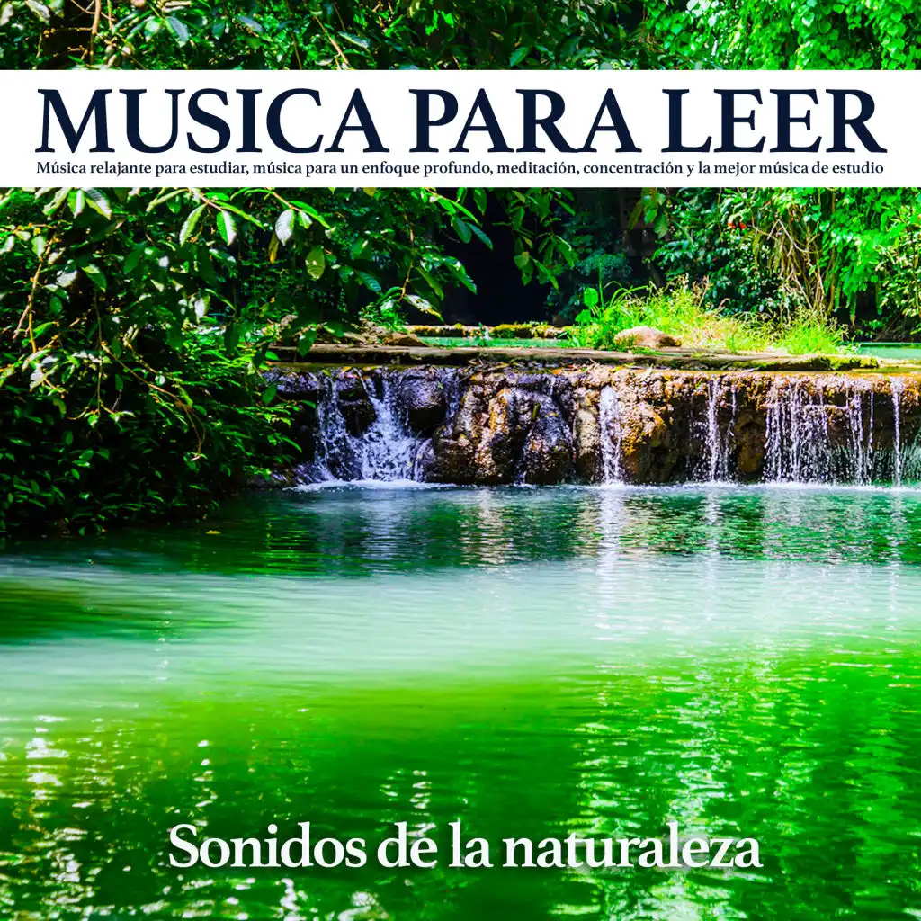 Música tranquila y sonidos de pájaros - Musica para estudiar