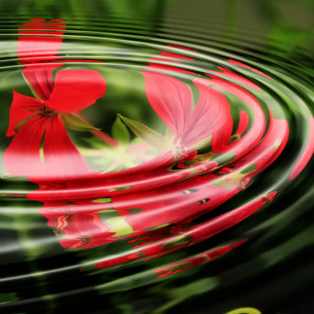 25 Relaxing Sounds to Soothe the Soul and Relax