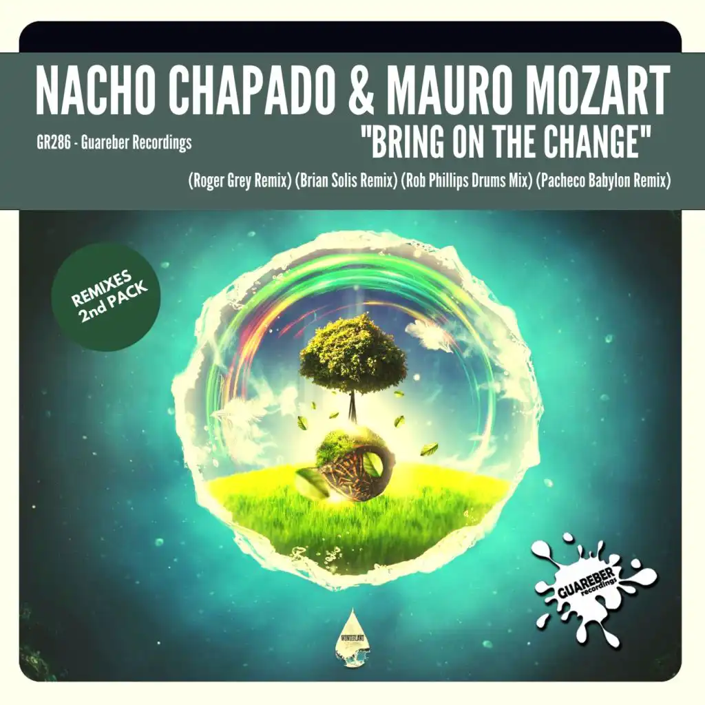 Bring On The Change (Paulo Pacheco Babylon Remix)