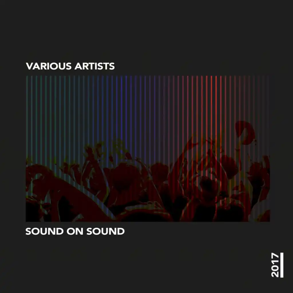 Various Artists: Sound On Sound 2017