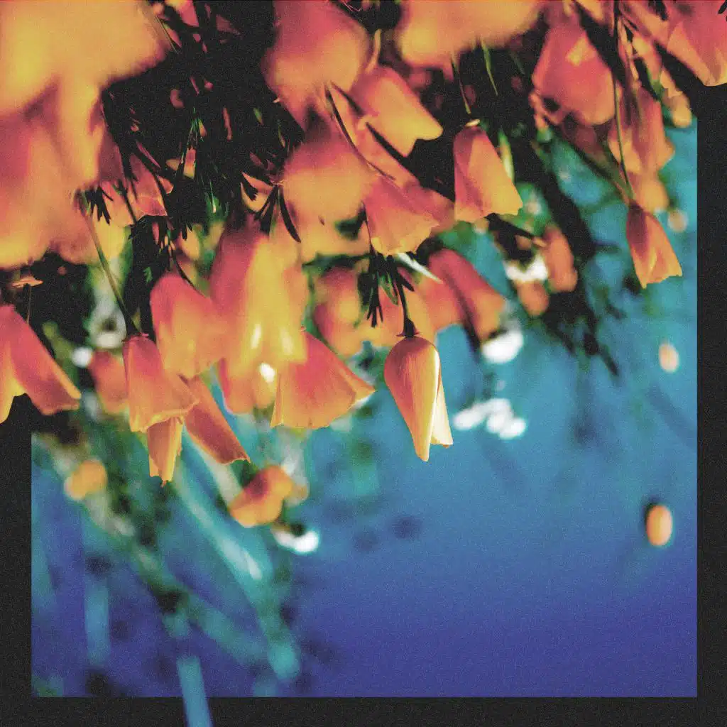 Sleepermane & Sebastian Kamae